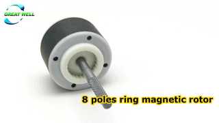 8-polige magnetische ringrotor