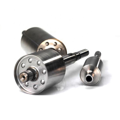 Rotor van het de Assemblageneodymium van de BEREIKdouane de Permanente Magnetische voor Gelijkstroom-Motor