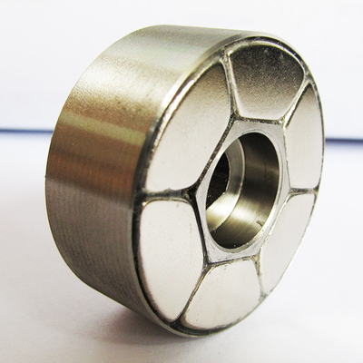 Flenstype Magnetische Paarring